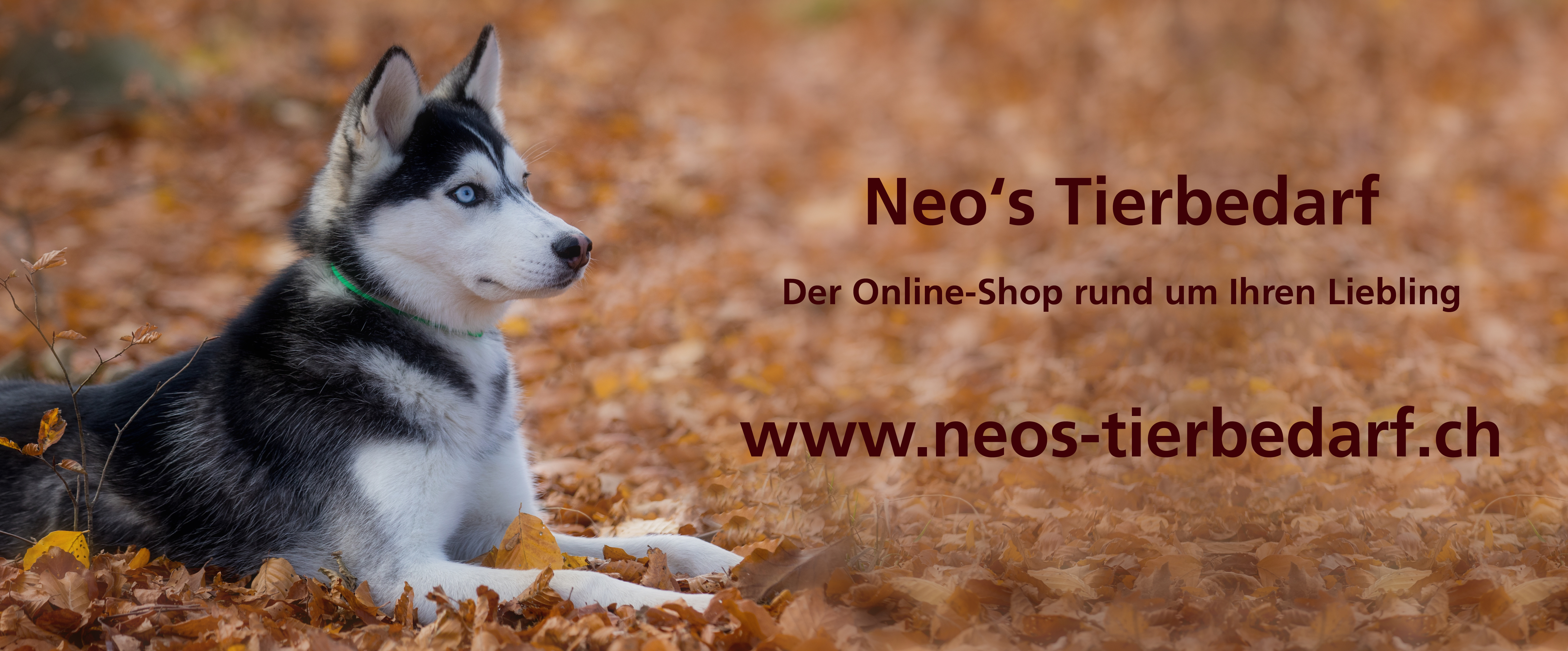 Banner Neos Tierbedarf 04 2019 DRUCK