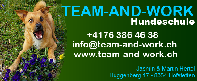 Banner Hundeschule Team & Work